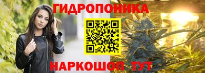 крисы Лесосибирск
