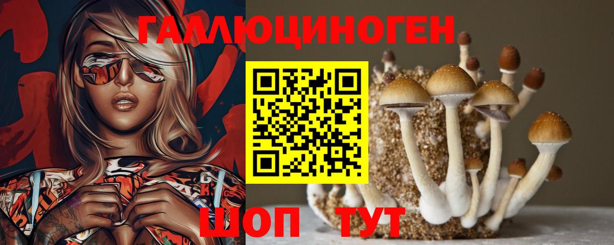 Псилоцибиновые грибы Psilocybine cubensis  Галлюциногенные грибы Psilocybine cubensis  Вход с VPN  Донецк 